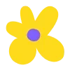 🌼
