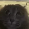 😳