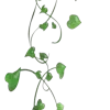 🌿