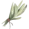🌿