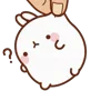 🐰