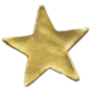 ✨