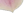⭐