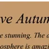 🍂