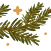 🌲