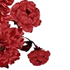 🥀