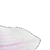 ⭐