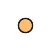 🟠