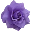 🌹