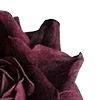 🥀