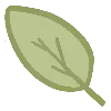 🍃