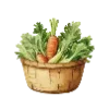 🥗