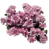 💐