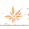 ➖