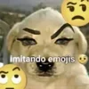 🐶