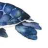 🐢