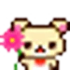 🌸
