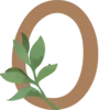 🌿