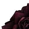 🥀