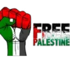 🇵🇸