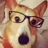 🤓