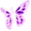 🦋