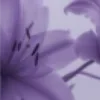 👾