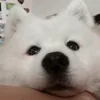 🤩