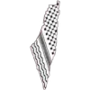 🇵🇸