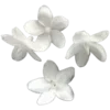 🌸