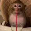 🤪