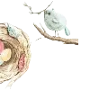 🪺
