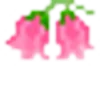 🌸