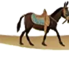 🐴