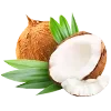 🥥
