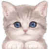 🐱