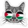 🇵🇸