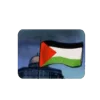 🇵🇸
