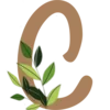 🌿