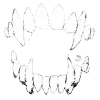 🧛