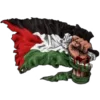 🇵🇸