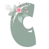 🌺