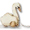 🦢