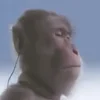 🎧