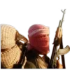 🇵🇸