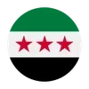 🇸🇾