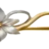🌼
