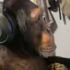 🎧