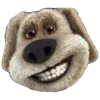🐶