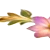 🌸